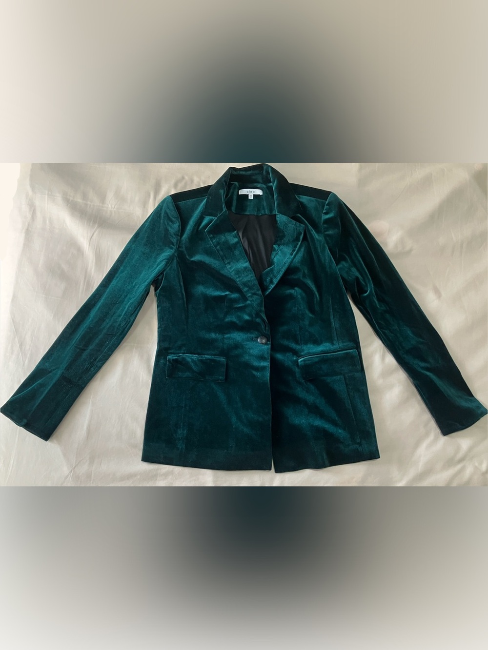 Cleo Emerald Velvet Blazer Size M NWT Jewel Tone Lined Jacket